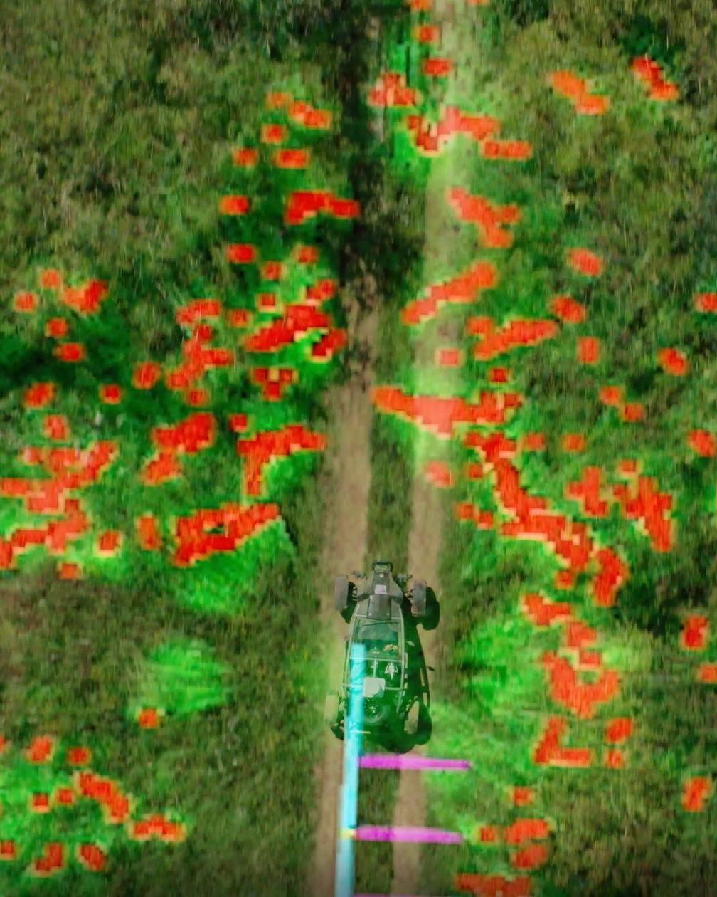 tractor in a flower garden
